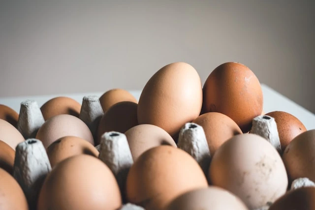 Image d'oeufs avec DCR présent sur l'oeuf