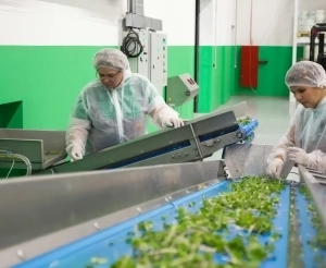 Arbre de décision HACCP, la méthode pour identifier vos points critiques