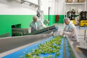 Arbre de décision HACCP, la méthode pour identifier vos points critiques