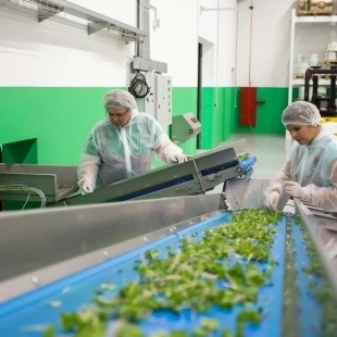 Arbre de décision HACCP, la méthode pour identifier vos points critiques